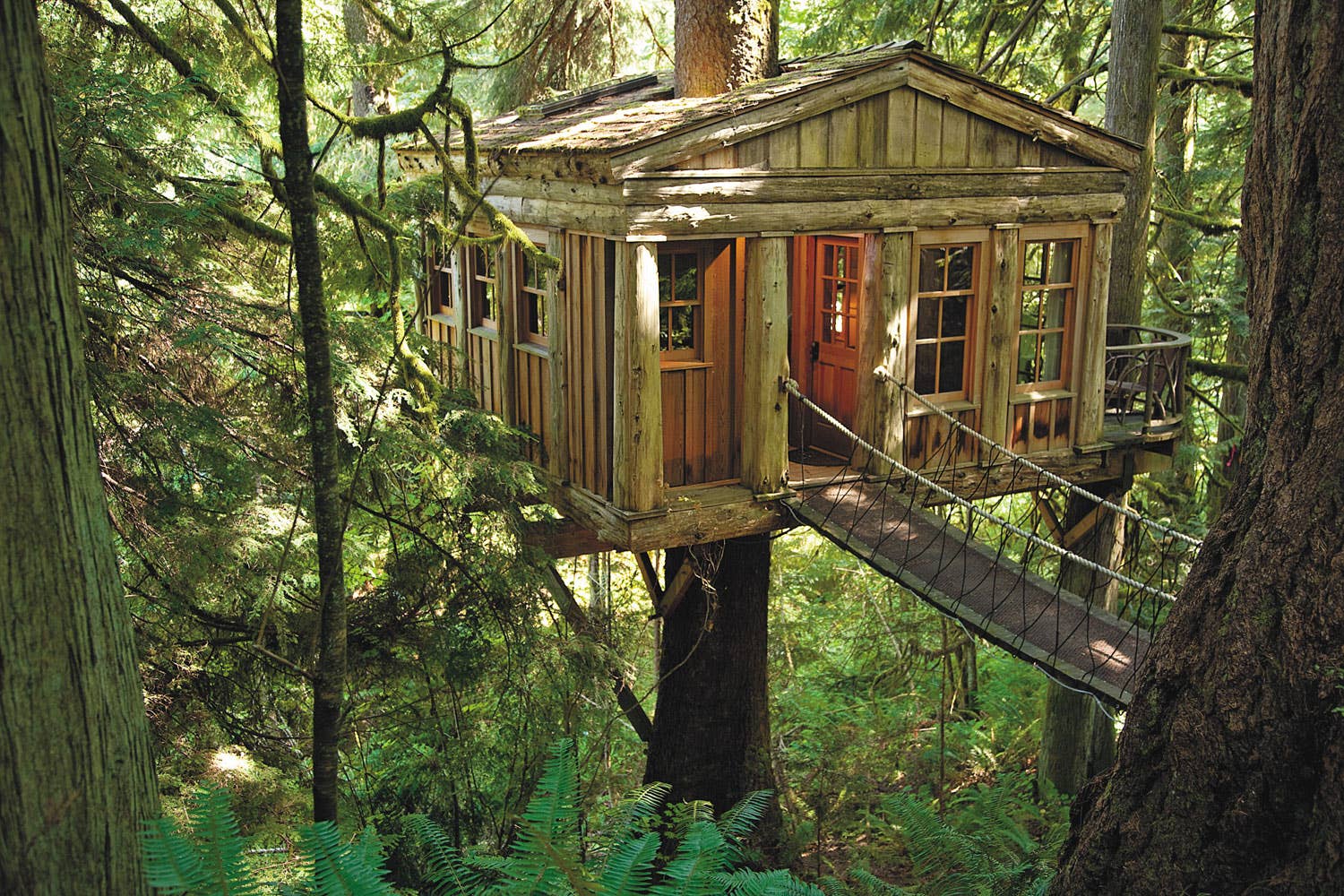 Treehouse Masters' Pete Nelson: 5 Things Every Beginning Builder Must ...