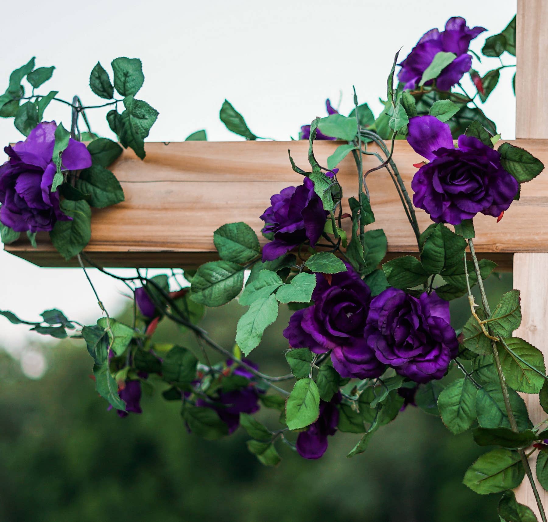 18 Rose Colors And Their Meanings Parade Home Garden 18 Rose Colors And Their Meanings Parade Home Garden