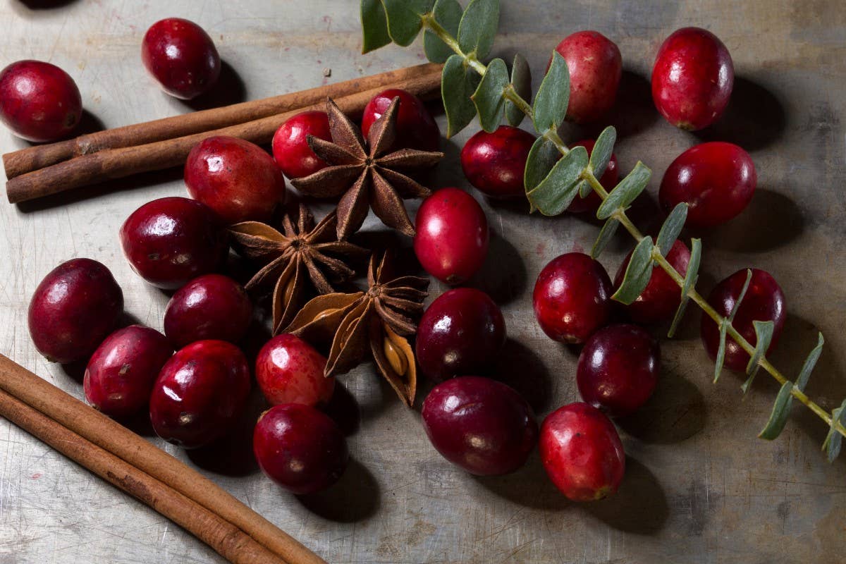 Simmer R Cran This 'Mini Simmer Pot' Hack Will Help Keep Your Home Smelling Delicious ...