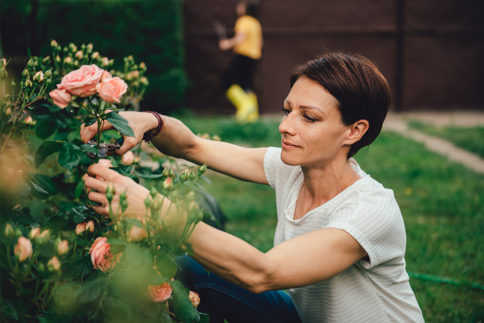 How To Prune Roses, According to Gardening Experts - Parade Home & Garden