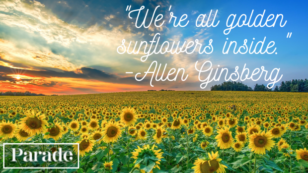 75 Sunflower Quotes To Bring You Joy - Parade Home &amp; Garden