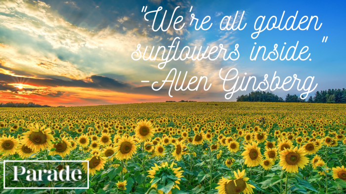 75 Sunflower Quotes To Bring You Joy - Parade Home & Garden