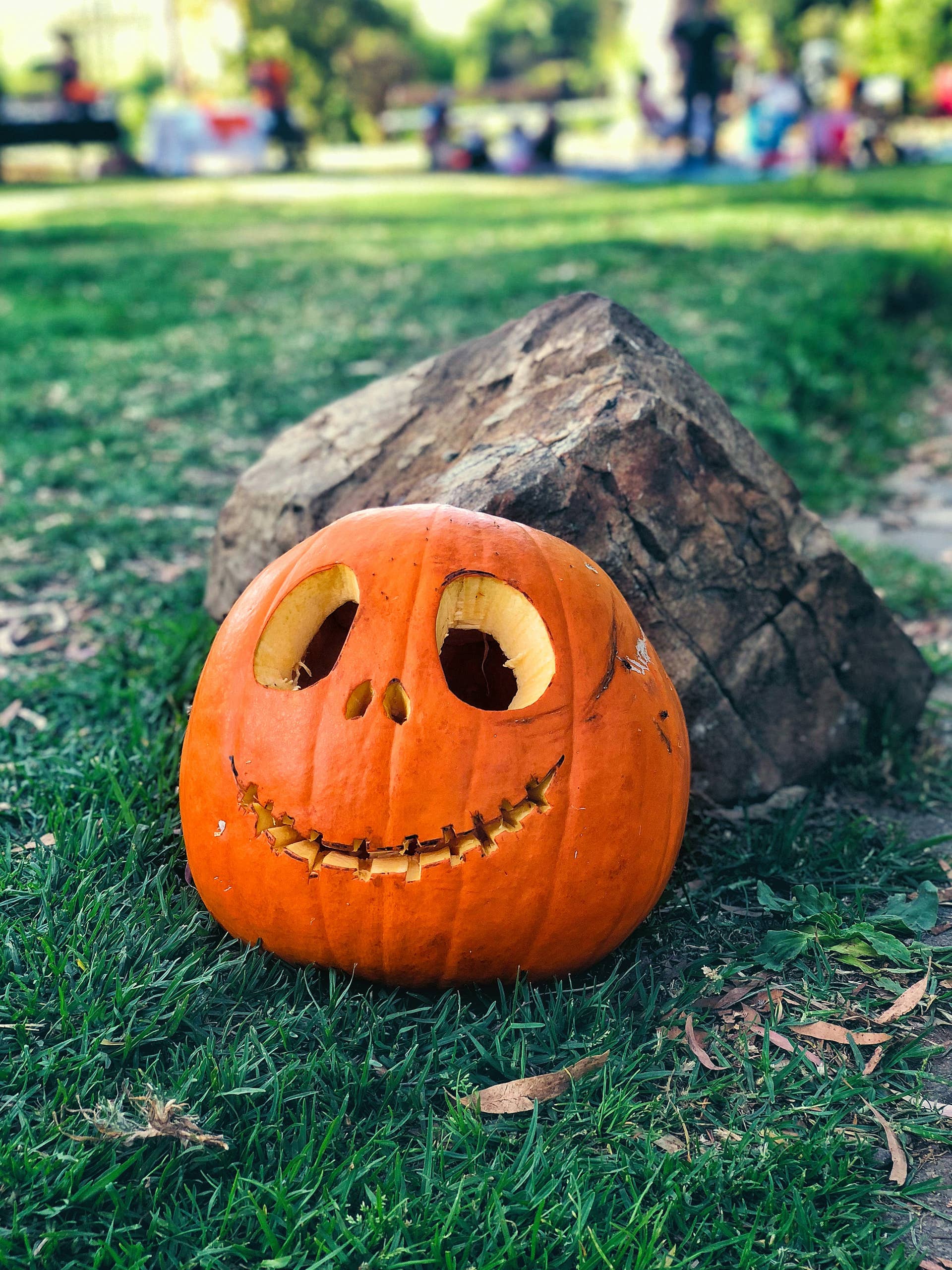 24 Creative Jack-O'-Lantern Design Ideas (2024) - Parade Home & Garden