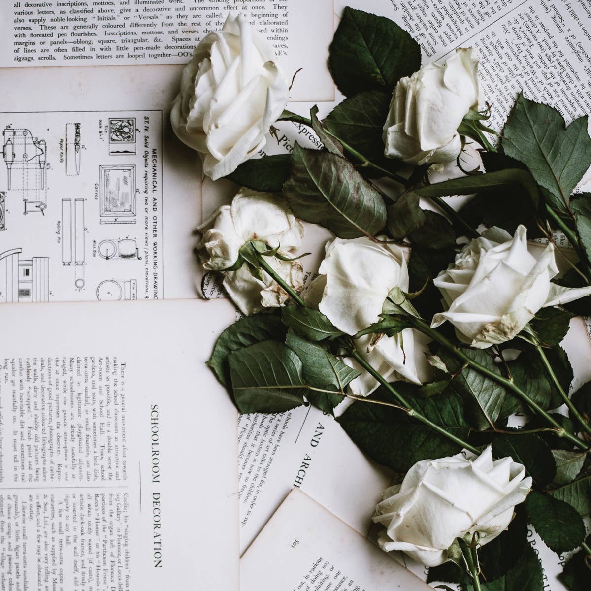 18 Rose Colors and Their Meanings - Parade Home & Garden