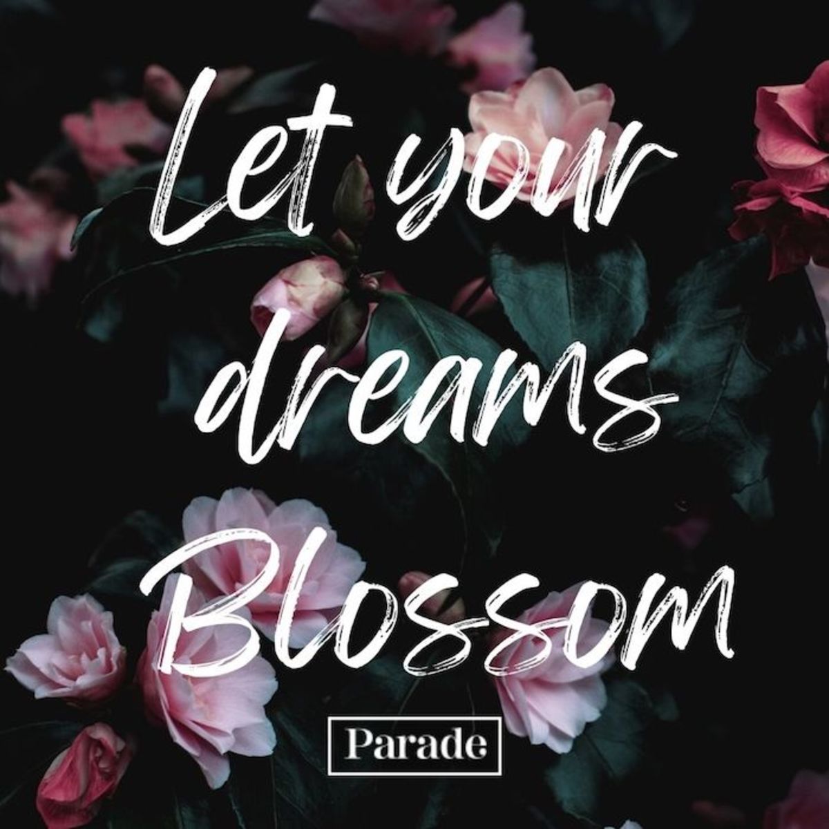 101 Flower Quotes To Inspire Your Day Parade Home & Garden