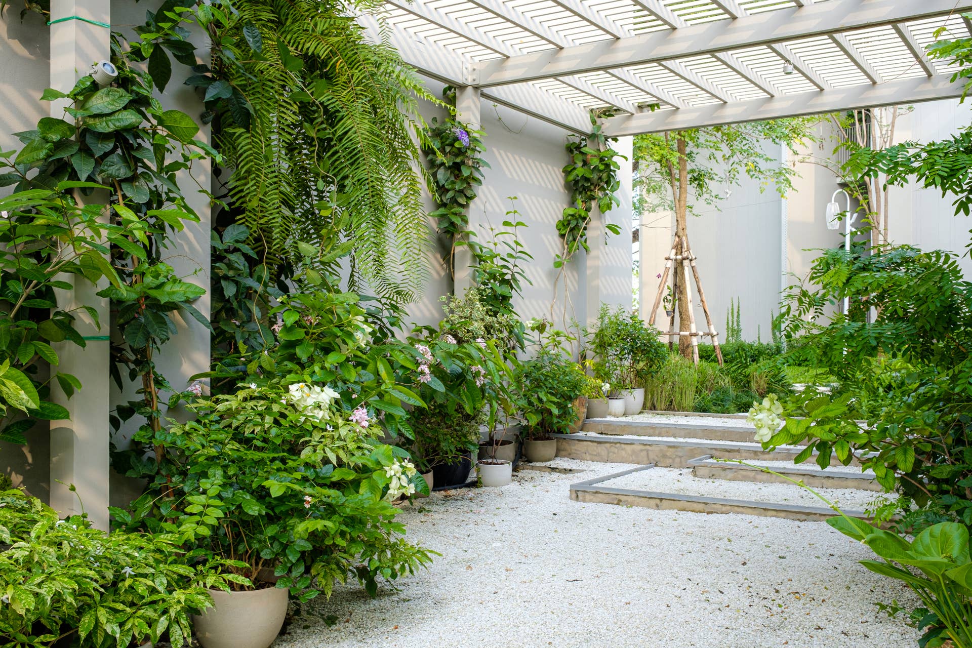 20 Small Evergreen Shrubs to Add Year-Round Color to Your Yard, Porch