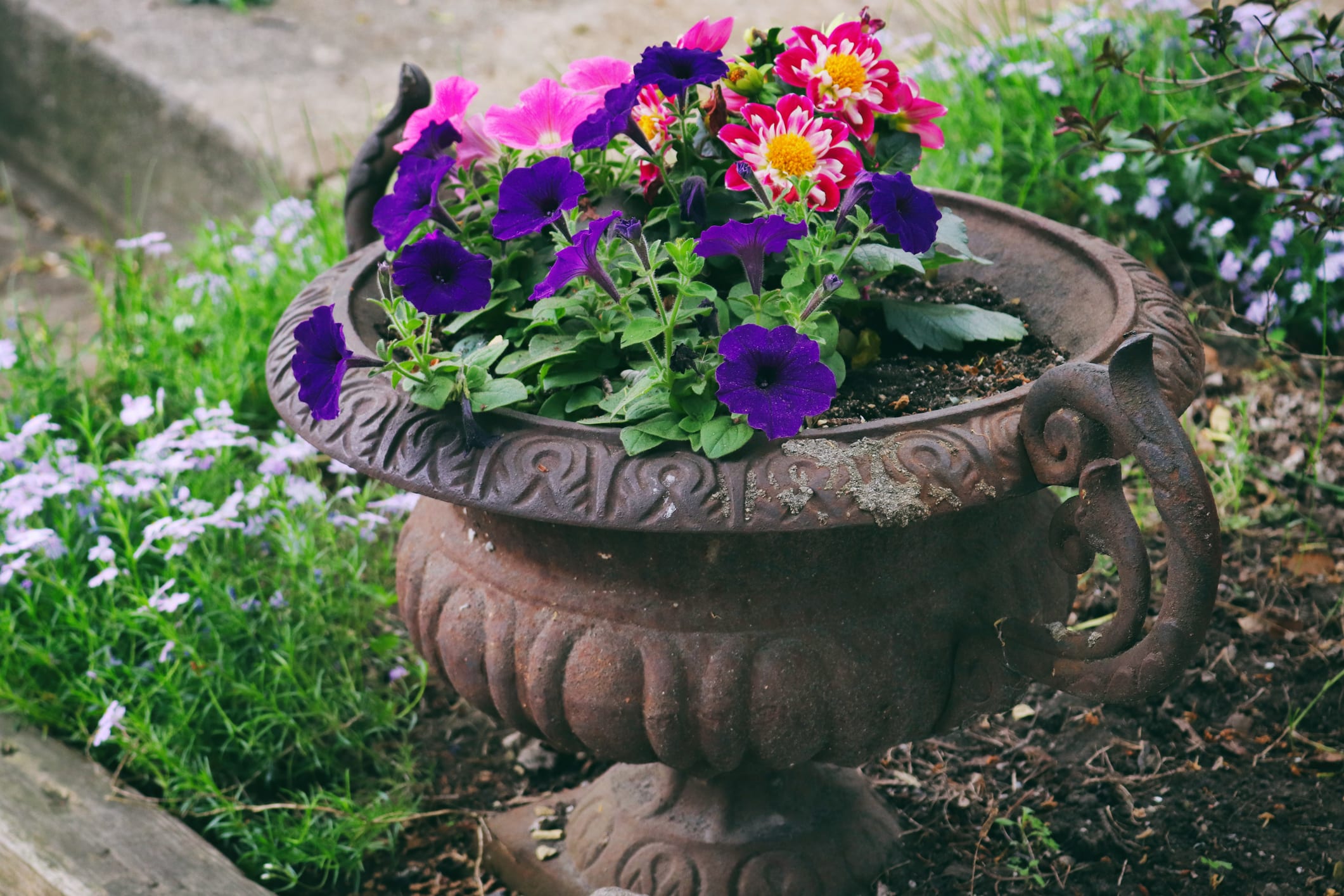 Spring Planter Ideas: 27 Container Garden Combos We Love - Parade Home ...