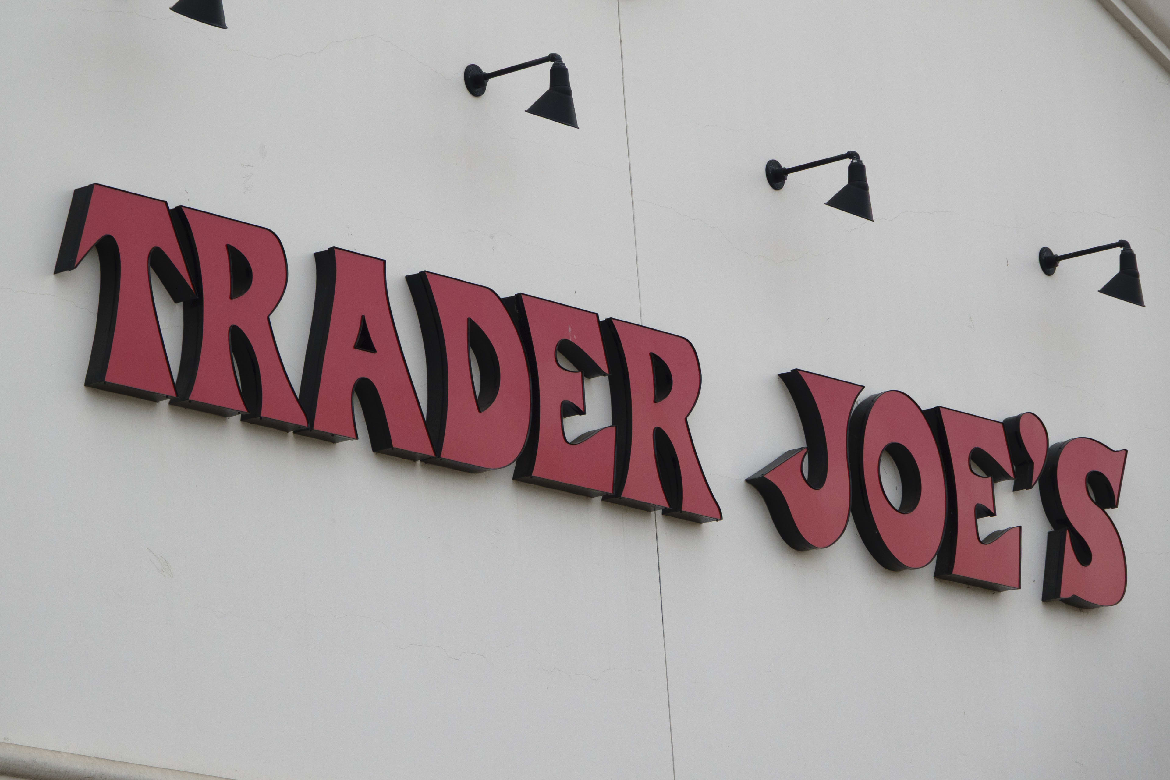 Trader Joe's Has the Cutest Mini Olive Trees for $11 - Parade Home & Garden